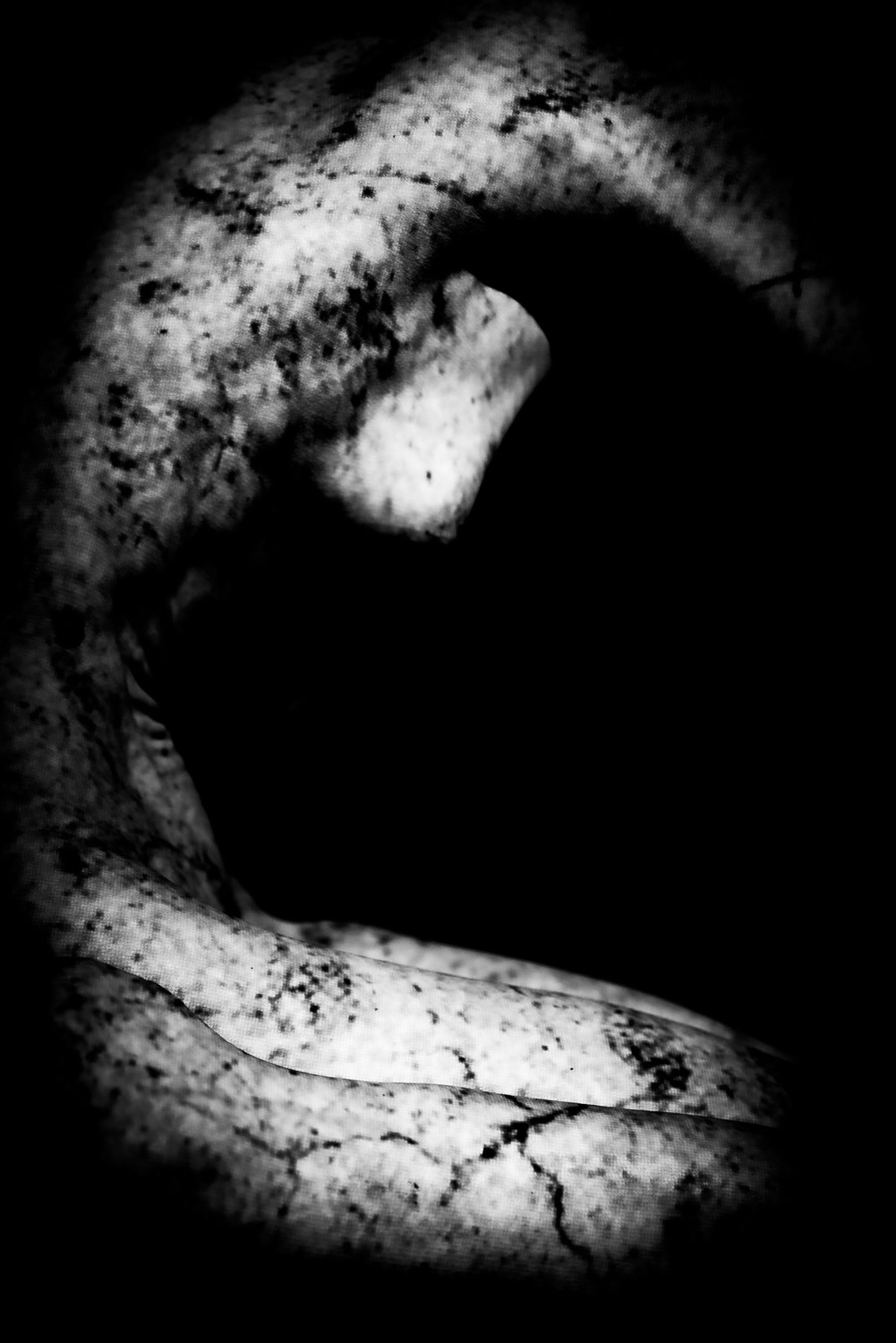 minimal black and white fine art photograph with projected lines forming an abstract torso structure