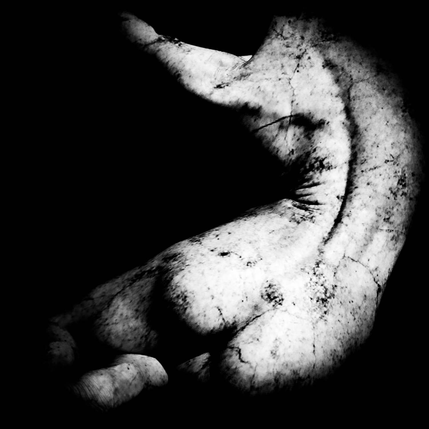 minimal black and white fine art texture of cracked surface forming a dense material field